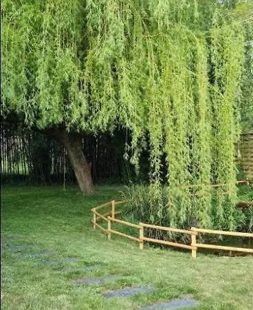 Gite La Source 10 Couchages 10 Mn Puy Du Fou